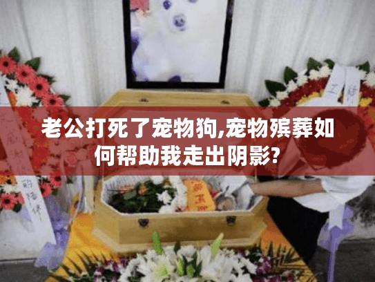 老公打死了宠物狗,宠物殡葬如何帮助我走出阴影?