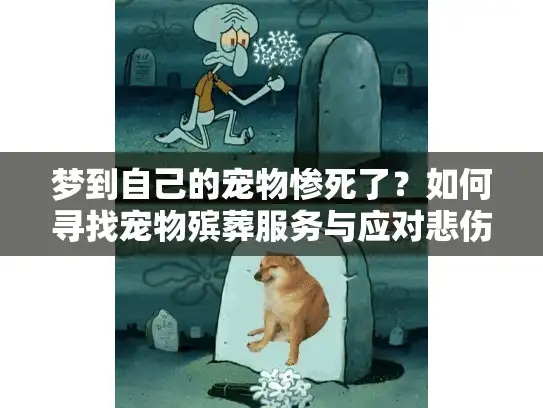 梦到自己的宠物惨死了？如何寻找宠物殡葬服务与应对悲伤情绪