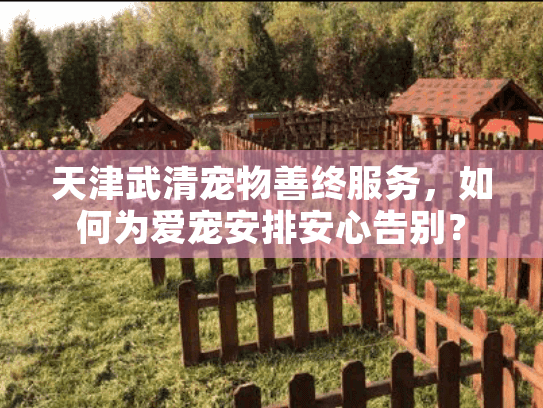 天津武清宠物善终服务，如何为爱宠安排安心告别？