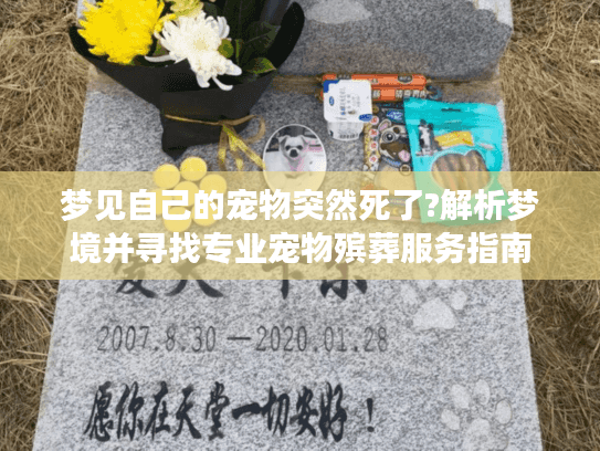 梦见自己的宠物突然死了?解析梦境并寻找专业宠物殡葬服务指南