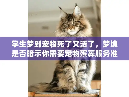 学生梦到宠物死了又活了，梦境是否暗示你需要宠物殡葬服务准备？