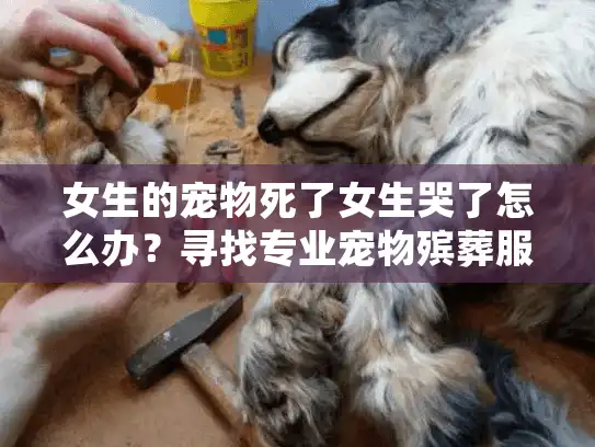 女生的宠物死了女生哭了怎么办？寻找专业宠物殡葬服务的全面指南