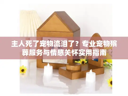 主人死了宠物流泪了？专业宠物殡葬服务与情感关怀实用指南