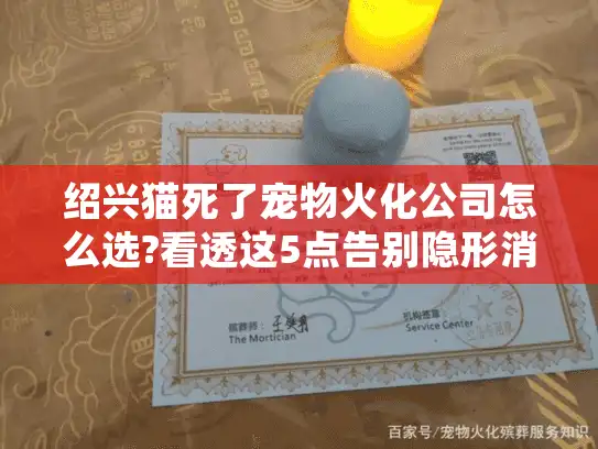 绍兴猫死了宠物火化公司怎么选?看透这5点告别隐形消费 绍兴猫死了宠物火化公司怎么选?看透这5点告别隐形消费