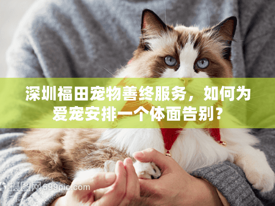 深圳福田宠物善终服务,如何为爱宠安排一个体面告别? 深圳福田宠物善终服务,如何为爱宠安排一个体面告别?
