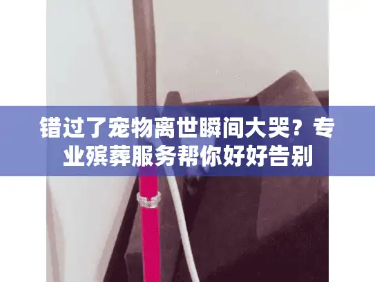 错过了宠物离世瞬间大哭？专业殡葬服务帮你好好告别