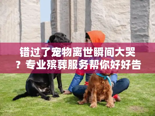 错过了宠物离世瞬间大哭？专业殡葬服务帮你好好告别
