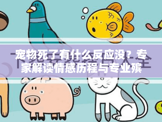 宠物死了有什么反应没？专家解读情感历程与专业殡葬服务指南