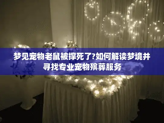 梦见宠物老鼠被撑死了?如何解读梦境并寻找专业宠物殡葬服务