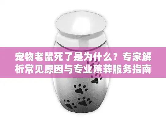 宠物老鼠死了是为什么？专家解析常见原因与专业殡葬服务指南