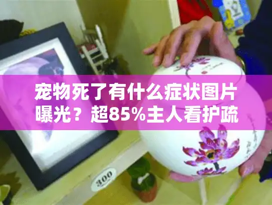 宠物死了有什么症状图片曝光?超85%主人看护疏忽的征兆 宠物死了有什么症状图片曝光?超85%主人看护疏忽的征兆