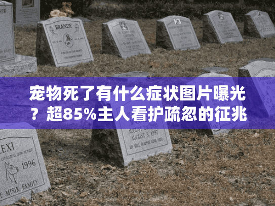 宠物死了有什么症状图片曝光?超85%主人看护疏忽的征兆 宠物死了有什么症状图片曝光?超85%主人看护疏忽的征兆