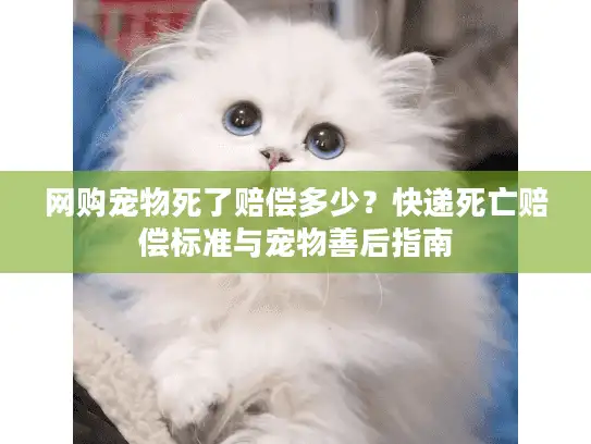 网购宠物死了赔偿多少？快递死亡赔偿标准与宠物善后指南