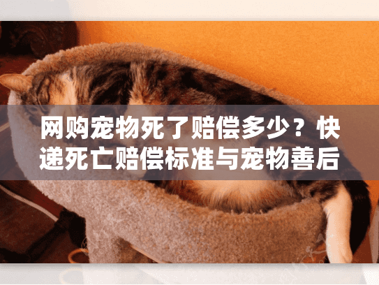 网购宠物死了赔偿多少？快递死亡赔偿标准与宠物善后指南