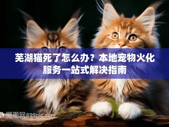 芜湖猫死了怎么办？本地宠物火化服务一站式解决指南