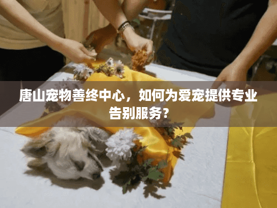 唐山宠物善终中心,如何为爱宠提供专业告别服务? 唐山宠物善终中心,如何为爱宠提供专业告别服务?