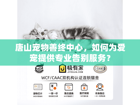 唐山宠物善终中心,如何为爱宠提供专业告别服务? 唐山宠物善终中心,如何为爱宠提供专业告别服务?