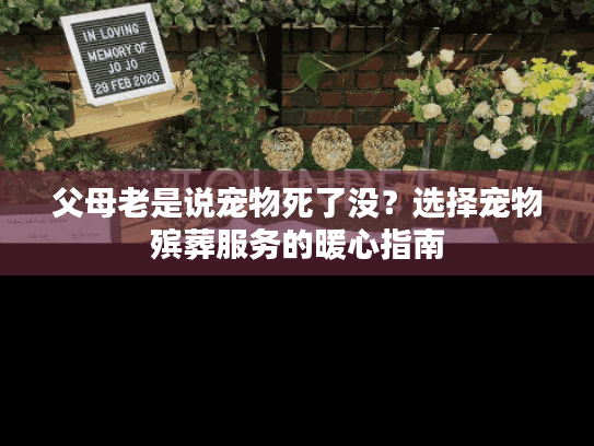 父母老是说宠物死了没？选择宠物殡葬服务的暖心指南