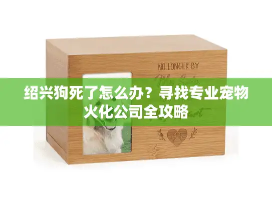 绍兴狗死了怎么办？寻找专业宠物火化公司全攻略