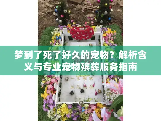 梦到了死了好久的宠物？解析含义与专业宠物殡葬服务指南