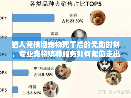 猎人竞技场宠物死了后的无助时刻，专业宠物殡葬服务如何帮您走出悲伤