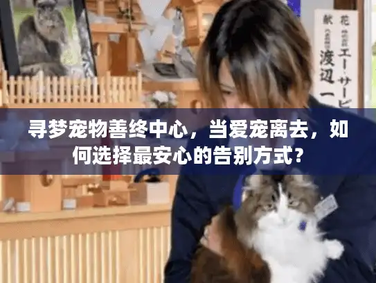寻梦宠物善终中心，当爱宠离去，如何选择最安心的告别方式？