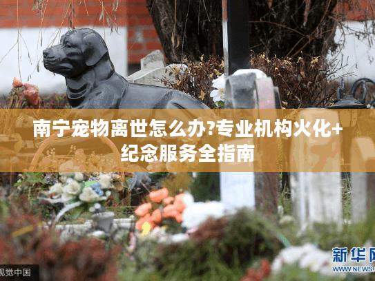 南宁宠物离世怎么办?专业机构火化+纪念服务全指南 南宁宠物离世怎么办?专业机构火化+纪念服务全指南