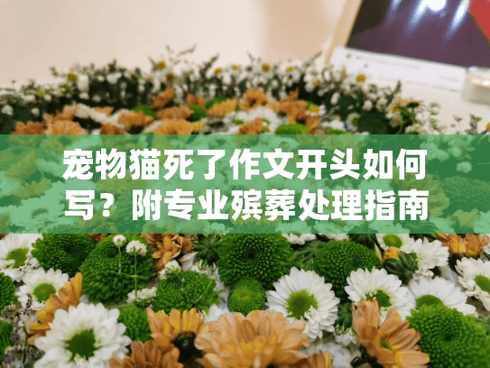 宠物猫死了作文开头如何写?附专业殡葬处理指南 宠物猫死了作文开头如何写?附专业殡葬处理指南