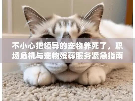 不小心把领导的宠物养死了，职场危机与宠物殡葬服务紧急指南