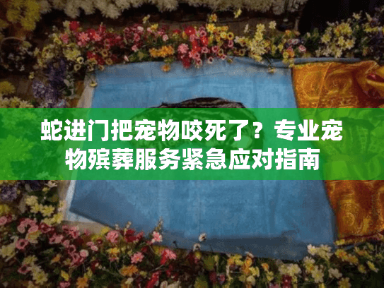 蛇进门把宠物咬死了?专业宠物殡葬服务紧急应对指南 蛇进门把宠物咬死了?专业宠物殡葬服务紧急应对指南