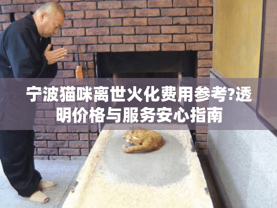 宁波猫咪离世火化费用参考?透明价格与服务安心指南 宁波猫咪离世火化费用参考?透明价格与服务安心指南