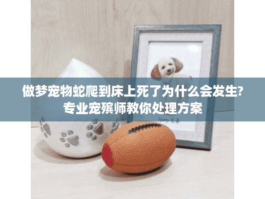 做梦宠物蛇爬到床上死了为什么会发生?专业宠殡师教你处理方案 做梦宠物蛇爬到床上死了为什么会发生?专业宠殡师教你处理方案