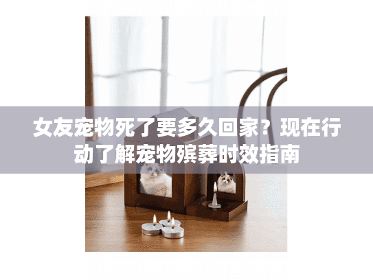 女友宠物死了要多久回家？现在行动了解宠物殡葬时效指南