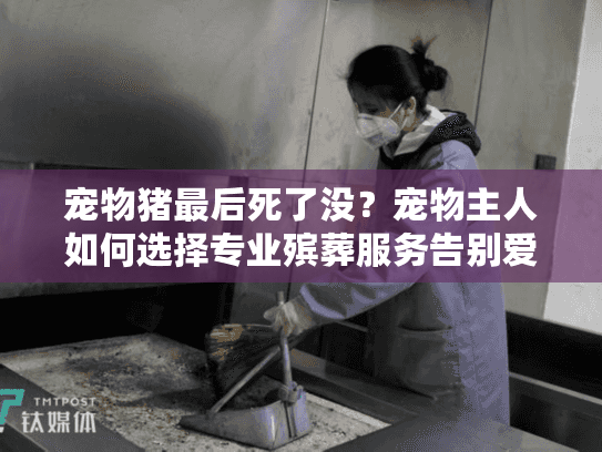 宠物猪最后死了没?宠物主人如何选择专业殡葬服务告别爱宠 宠物猪最后死了没?宠物主人如何选择专业殡葬服务告别爱宠