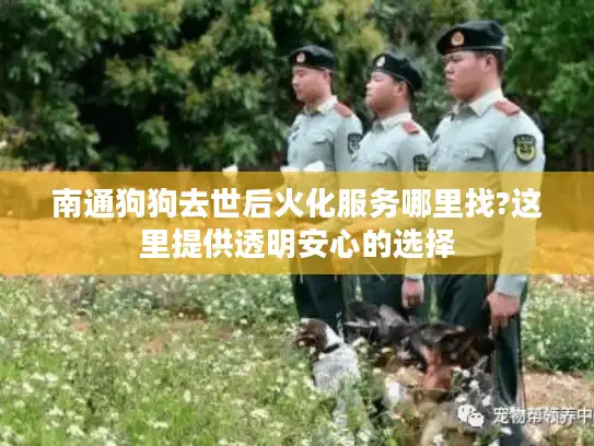 南通狗狗去世后火化服务哪里找?这里提供透明安心的选择