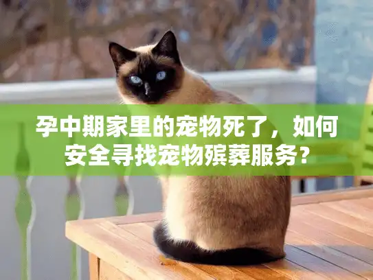 孕中期家里的宠物死了，如何安全寻找宠物殡葬服务？