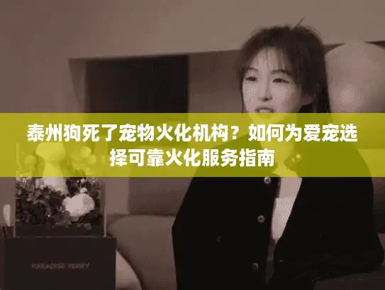 泰州狗死了宠物火化机构？如何为爱宠选择可靠火化服务指南
