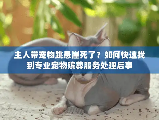 主人带宠物跳悬崖死了？如何快速找到专业宠物殡葬服务处理后事
