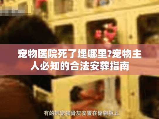 宠物医院死了埋哪里?宠物主人必知的合法安葬指南