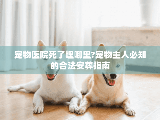 宠物医院死了埋哪里?宠物主人必知的合法安葬指南