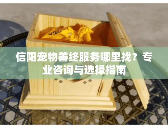 信阳宠物善终服务哪里找？专业咨询与选择指南