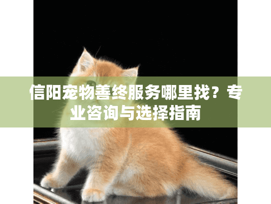 信阳宠物善终服务哪里找？专业咨询与选择指南