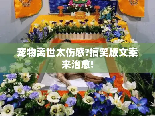 宠物离世太伤感?搞笑版文案来治愈! 宠物离世太伤感?搞笑版文案来治愈!