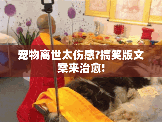 宠物离世太伤感?搞笑版文案来治愈! 宠物离世太伤感?搞笑版文案来治愈!