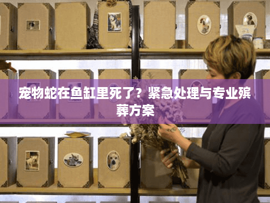 宠物蛇在鱼缸里死了？紧急处理与专业殡葬方案
