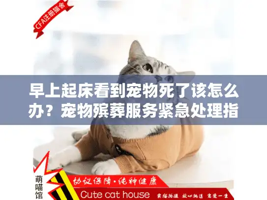 早上起床看到宠物死了该怎么办？宠物殡葬服务紧急处理指南