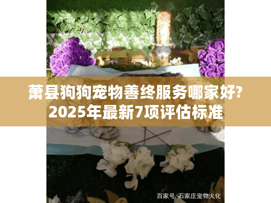 萧县狗狗宠物善终服务哪家好?2025年最新7项评估标准
