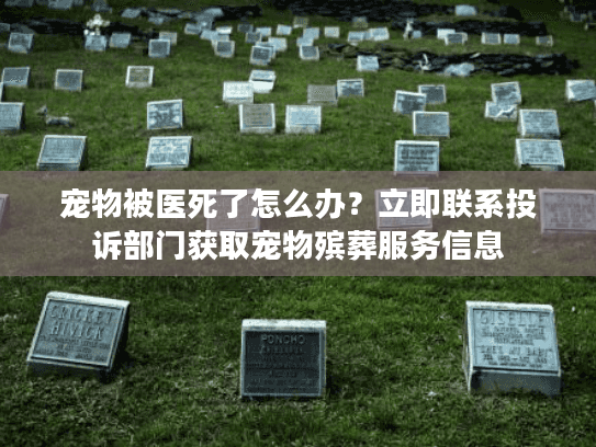 宠物被医死了怎么办？立即联系投诉部门获取宠物殡葬服务信息