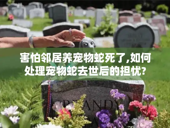 害怕邻居养宠物蛇死了,如何处理宠物蛇去世后的担忧? 害怕邻居养宠物蛇死了,如何处理宠物蛇去世后的担忧?