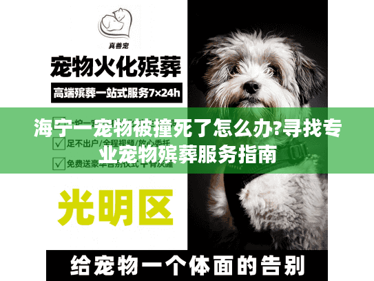 海宁一宠物被撞死了怎么办?寻找专业宠物殡葬服务指南